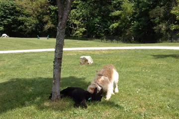 Fairmont Dog Park